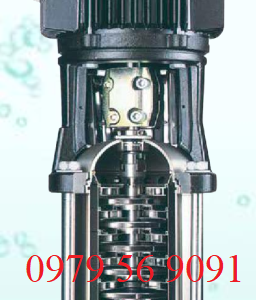 máy bơm kaiquan kqdp,kqdq