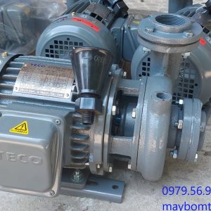 máy bơm nước teco trục ngang giá rẽ nhất chất lượng cao