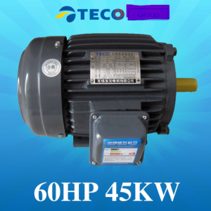 Mortor teco giá rẽ nhất bán ở đâu